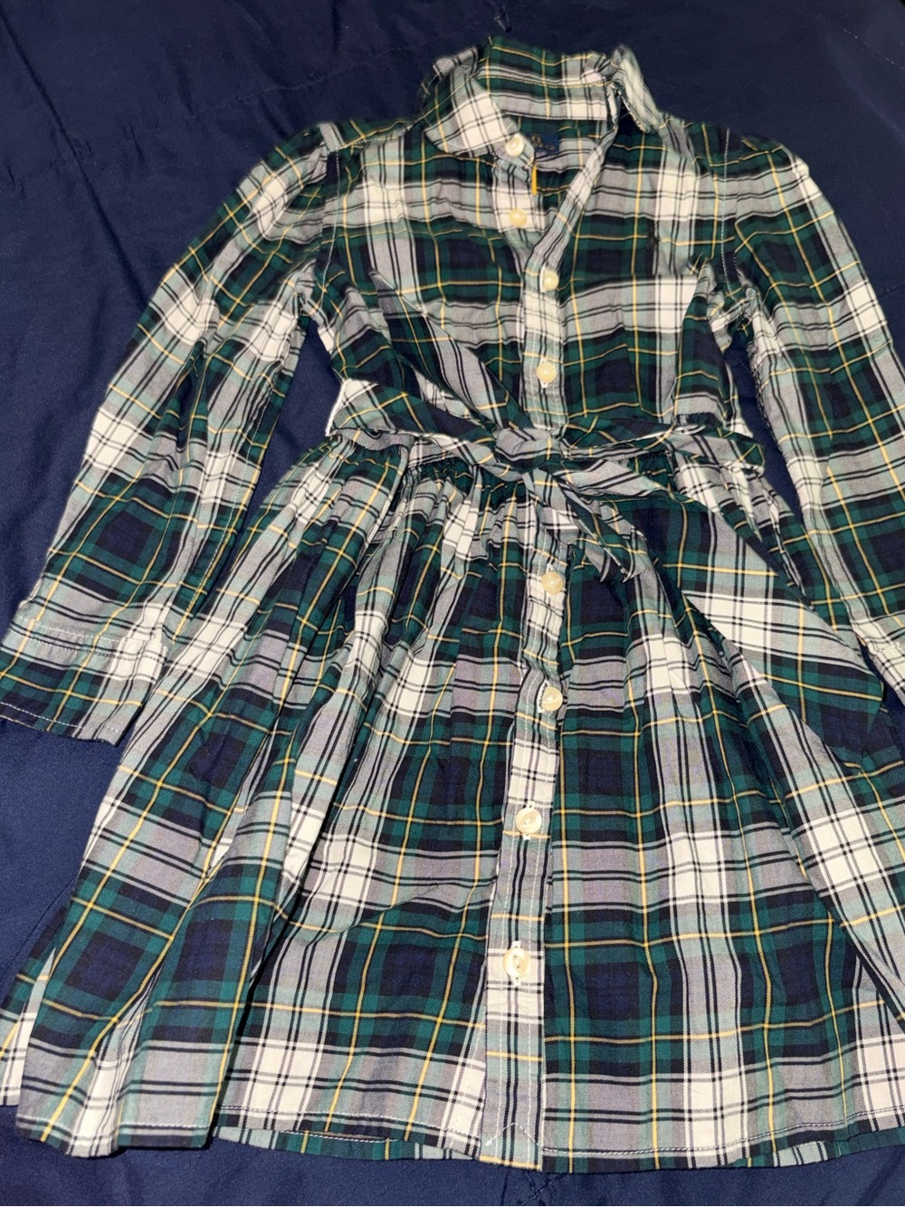 Polo by Ralph Lauren Green and White Plaid Button-Front Dress